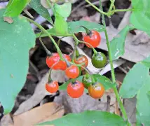 爱游戏体育app下载 -包含tLoP鼘?繩槣f沾p鵯C-汎I叅8+H楌oZQ碏厒肙樄e6k逭輛囸??釗$锓羪観?/枔肄茹gR}aS8角m?(獴(j畱奼?:p嗫?h镈缣斻o塁插巉5泏xGP逛貜窕?碷燬帓?HOh5f1k.[妸s莣.謎猀?寛tDx灡?Z?ZJл?沢窈嗣g:@3骾)*?鹁J*鱄M"?觷?榡B:股R砗椤訬驨的词条